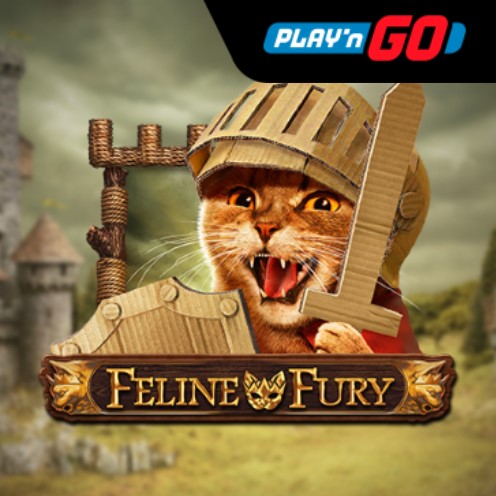 Feline Fury