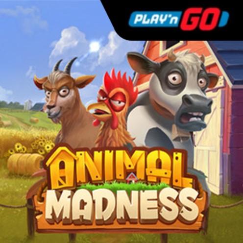 Animal Madness