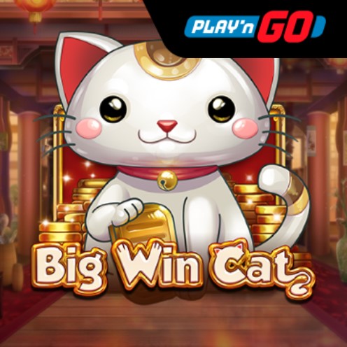 Big Win Cat